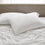 TENCEL Lyocell eucalyptus bedding white pillowcases